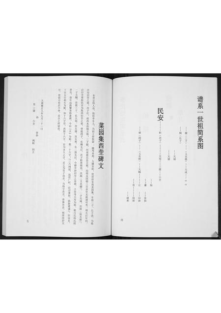 河南李氏族谱-李氏族谱[不分卷].pdf电子版插图5