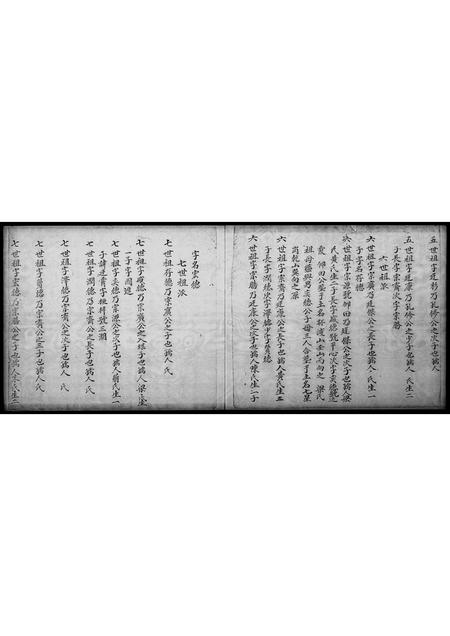 广东林氏族谱-[林氏]明朝中到新界开族.pdf电子版插图5
