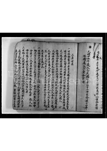 广东林氏族谱-发鳌公族谱第三房.pdf电子版插图5