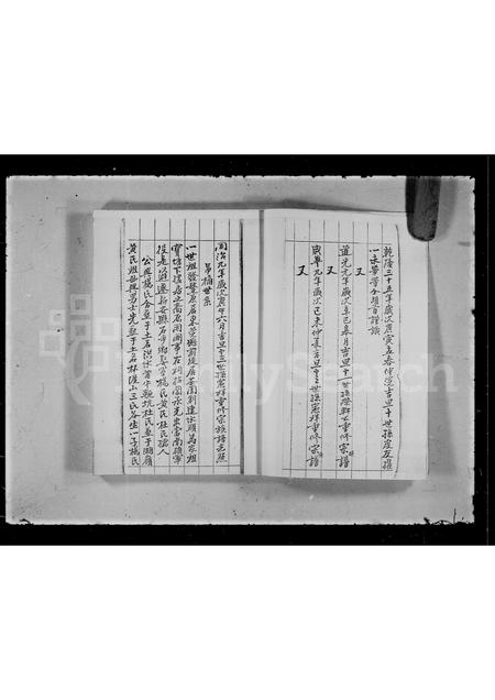 广东林氏族谱-石埔村[林氏]族谱.pdf电子版插图5