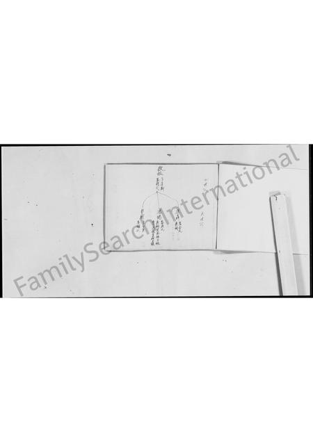 广东刘氏族谱-新会(虫雷)江刘氏中代谱系.pdf电子版插图5