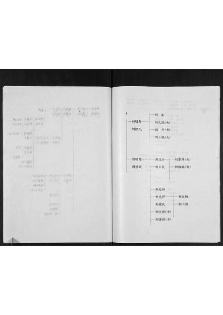 河南刘氏族谱-刘氏家谱[不分卷].pdf电子版插图5