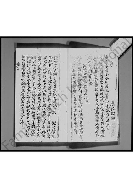 广东罗氏族谱-宝安县锦田横台山罗氏族谱.pdf电子版插图5