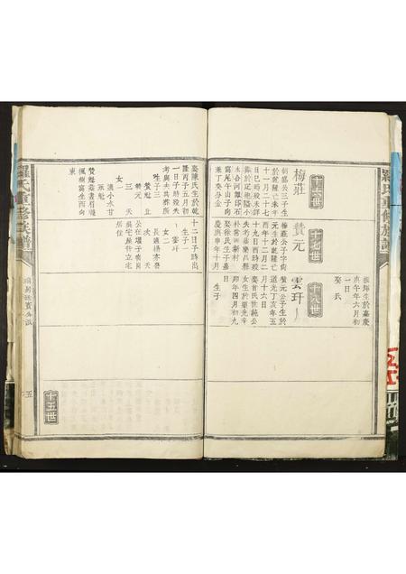 广东罗氏族谱-罗氏重修族谱.pdf电子版插图5 广东罗氏族谱-罗氏重修族谱.pdf电子版插图5