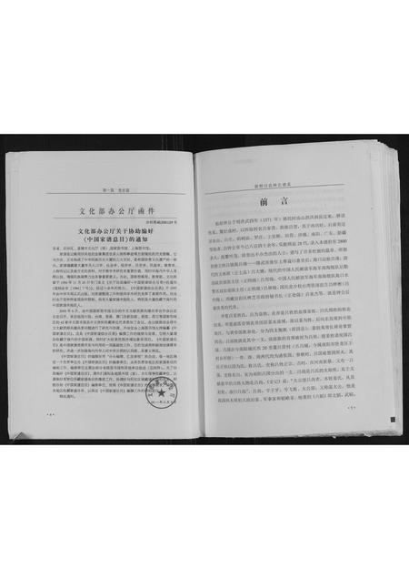 河南吕氏族谱-新野吕氏钟公谱系.pdf电子版插图5