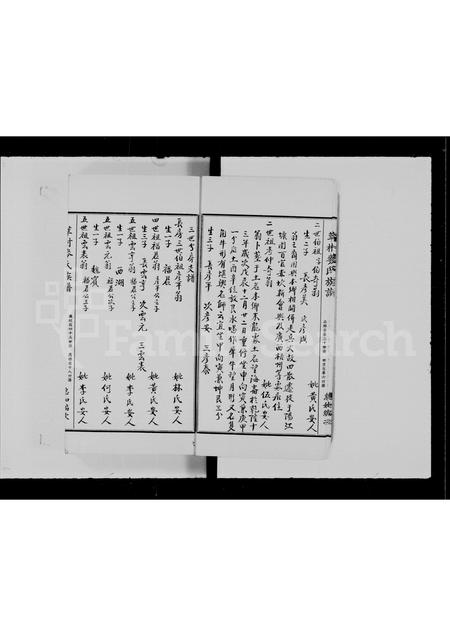 广东麦氏族谱-莘村麦氏族谱.pdf电子版插图5