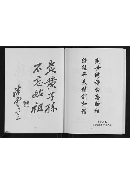 河南南氏族谱-南氏家谱.pdf电子版插图5