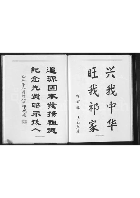 河南祁氏族谱-平顶山滑县祁氏家谱.pdf电子版插图5