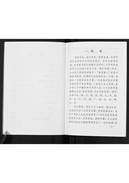 河南申氏族谱-申氏族谱.pdf电子版插图5 河南申氏族谱-申氏族谱.pdf电子版插图5