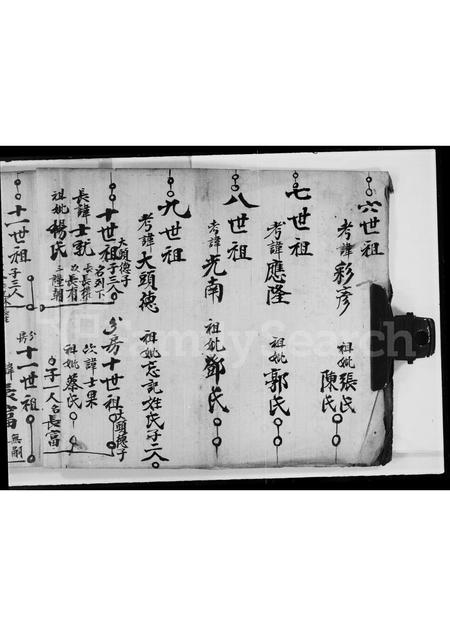 广东盛氏族谱-[盛氏历代族谱].pdf电子版插图5