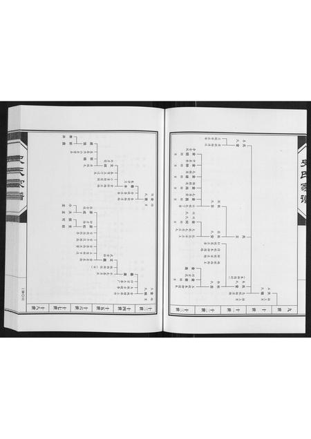 河南史氏族谱-史氏家谱[不分卷].pdf电子版插图5