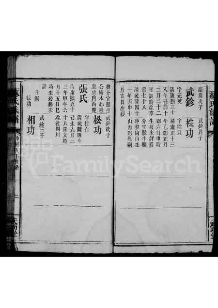 江西、广东、福建苏氏族谱-苏氏族谱 [6卷].pdf电子版插图5