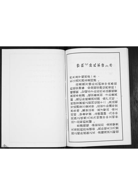 河南孙氏族谱-孙氏族谱[不分卷].pdf电子版插图5