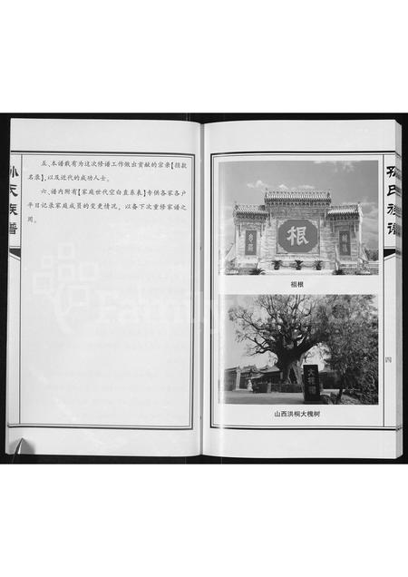 河南孙氏族谱-孙氏族谱.pdf电子版插图5