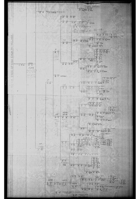 广东王氏族谱-金竹排村王斯福家族谱.pdf电子版插图5 广东王氏族谱-金竹排村王斯福家族谱.pdf电子版插图5