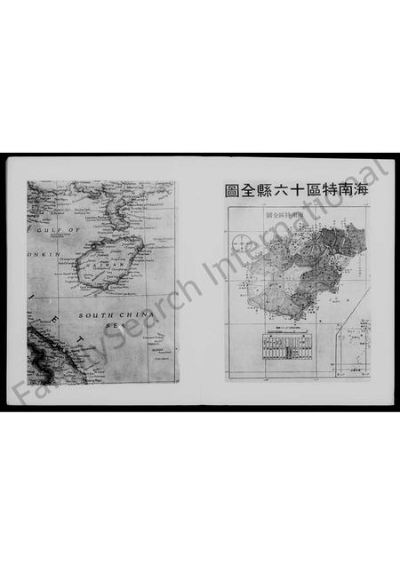 广东王氏族谱-海南王氏旅台宗亲家谱汇编.pdf电子版插图5