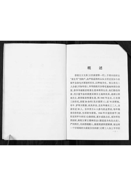 河南王氏族谱-王氏家谱[不分卷].pdf电子版插图5