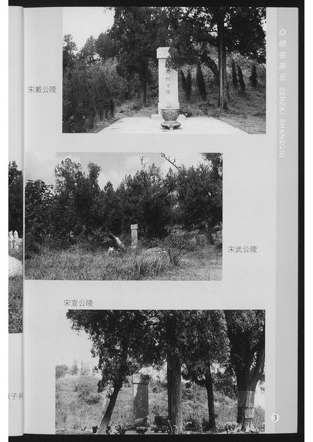 河南未知族谱-根在商丘.pdf电子版插图5
