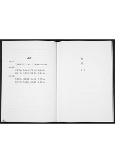 河南席氏族谱-席士能家族宗谱[不分卷].pdf电子版插图5