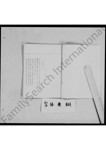 广东夏氏族谱-清远夏氏族谱.pdf电子版插图5