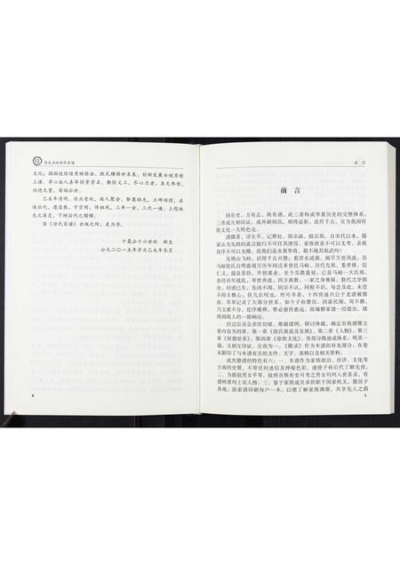 河南徐氏族谱-徐氏家谱.pdf电子版插图5
