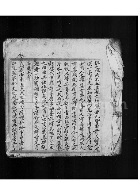 广东杨氏族谱-[杨氏族谱].pdf电子版插图5