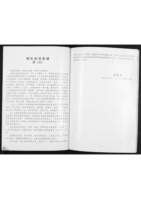 河南杨氏族谱-杨珍宗族世系家牒.pdf电子版插图5
