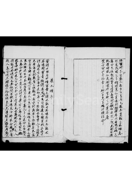 广东叶氏族谱-叶氏族谱.pdf电子版插图5