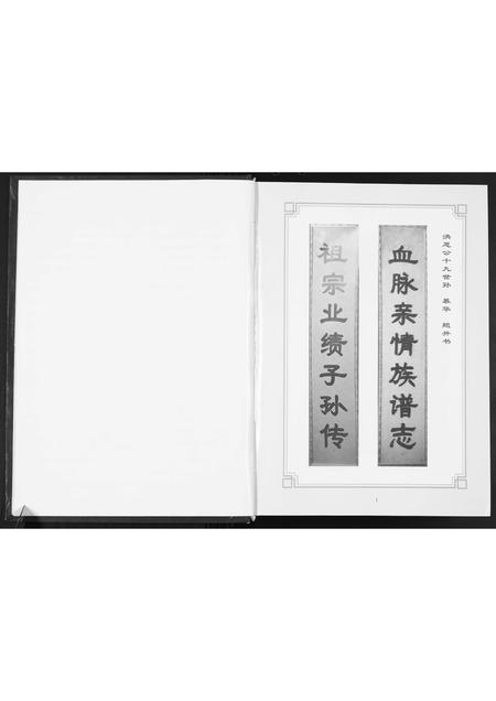 广东张氏族谱-桂岭张氏族谱.pdf电子版插图5