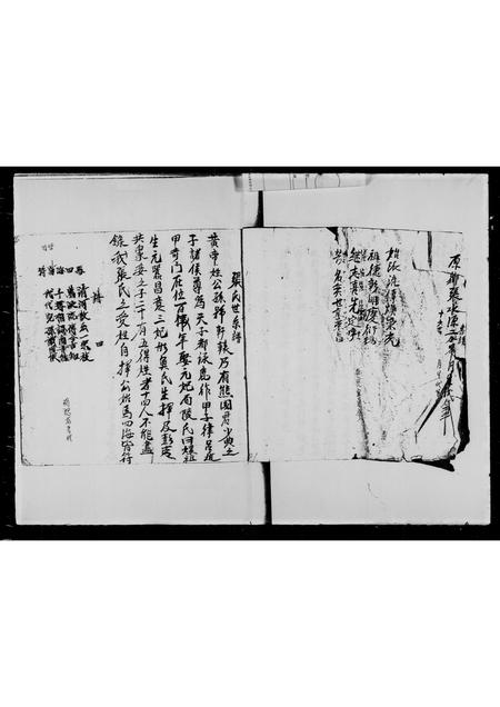 广东张氏族谱-张家系族谱.pdf电子版插图5