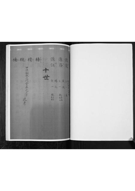 河南张氏族谱-张氏家谱.pdf电子版插图5 河南张氏族谱-张氏家谱.pdf电子版插图5
