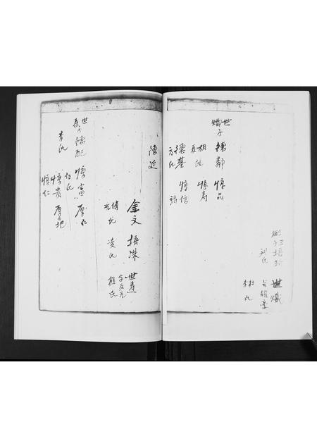 河南张氏族谱-张氏族谱[5卷].pdf电子版插图5