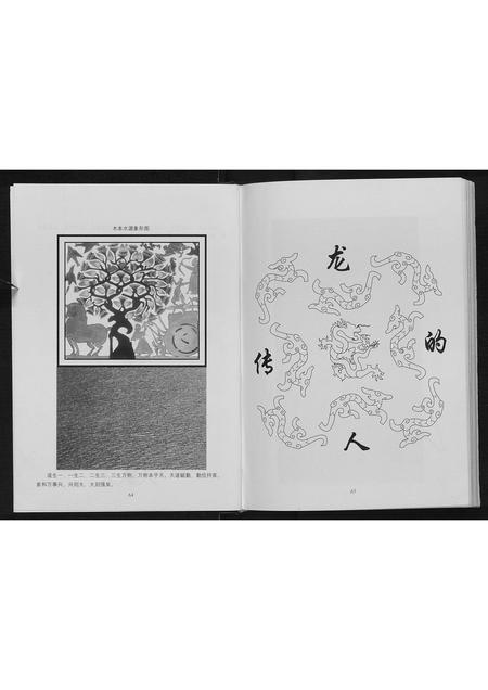 河南张氏族谱-东街张.pdf电子版插图5