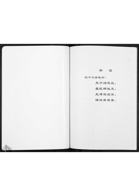 河南张氏族谱-赵寨张氏祖祠纪事.pdf电子版插图5