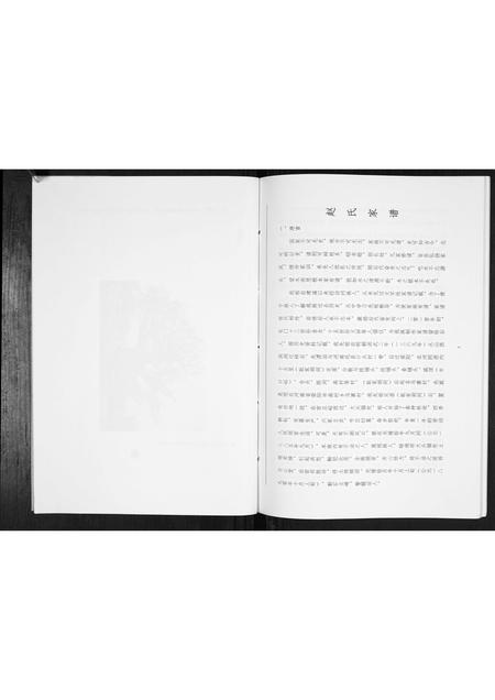 河南赵氏族谱-赵氏家谱[不分卷].pdf电子版插图5