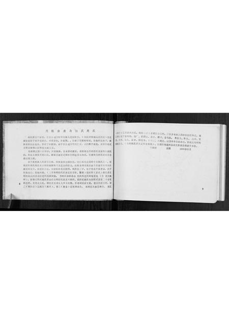 河南周氏族谱-周氏家谱[不分卷].pdf电子版插图5