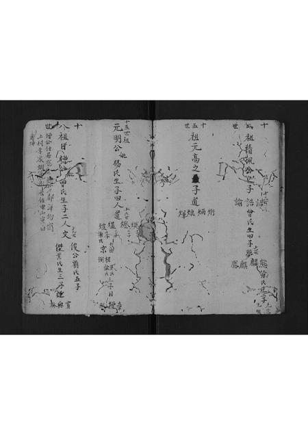 广东邹氏族谱-邹氏宗谱[不分卷].pdf电子版插图5