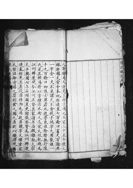 河南陈氏族谱-淮阳郡陈氏族谱.pdf电子版插图5