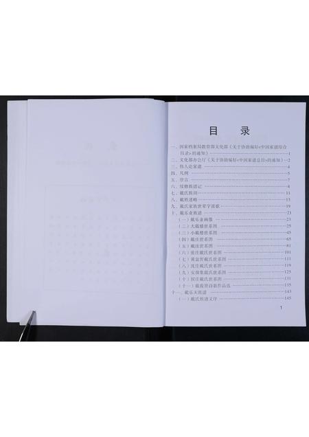 河南戴氏族谱-鹿邑淮阳戴氏族谱.pdf电子版插图5