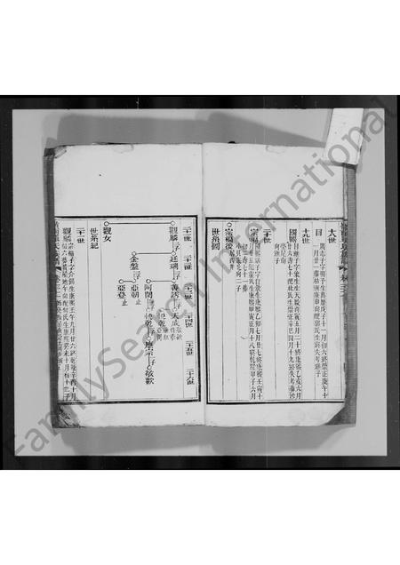 广东单氏族谱-岭南单氏十修族谱 [残卷].pdf电子版插图5