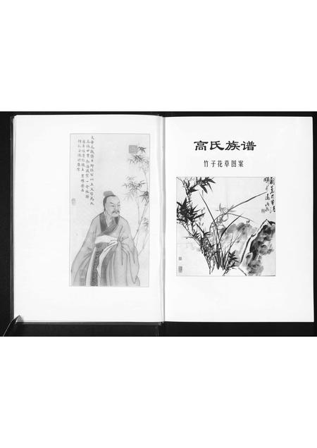 河南高氏族谱-高氏家族谱 _ 豫东南高氏家族支系部分 [残1卷].pdf电子版插图5