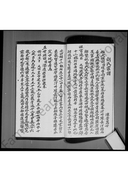 广东胡氏族谱-[新界马鞍岗]胡氏族谱.pdf电子版插图5