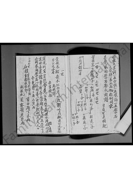 广东黎氏族谱-[东莞凤涌学右]黎氏族谱 _ 黎德献公房.pdf电子版插图5
