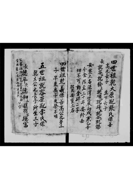 广东黎氏族谱-黎氏宗族家谱.pdf电子版插图5