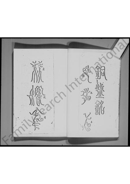 广东林氏族谱-[新界大埔坑吓蒲村]林氏族谱.pdf电子版插图5