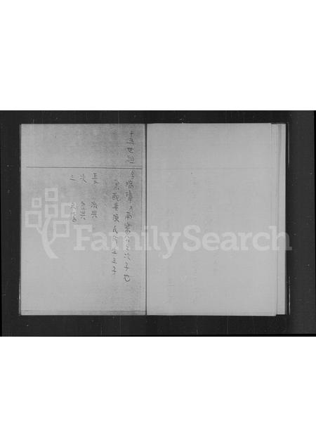 广东苏氏族谱-九龙长沙湾苏氏族谱.pdf电子版插图5