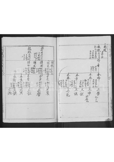 河南魏氏族谱-魏氏族谱 _ 河南省太康县 [再续1卷].pdf电子版插图5