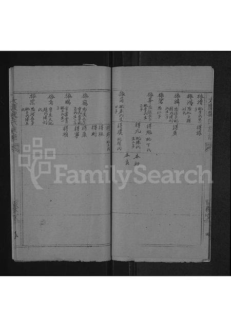 河南魏氏族谱-魏氏族谱 _ 河南省太康县 [存2卷].pdf电子版插图5
