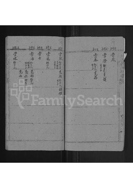 河南魏氏族谱-魏氏族谱 _ 河南省太康县 [存2卷].pdf电子版插图5