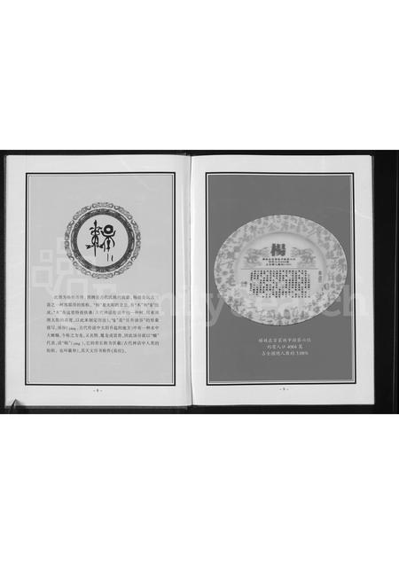 河南杨氏族谱-杨氏家谱 _ 沁阳窑头.pdf电子版插图5